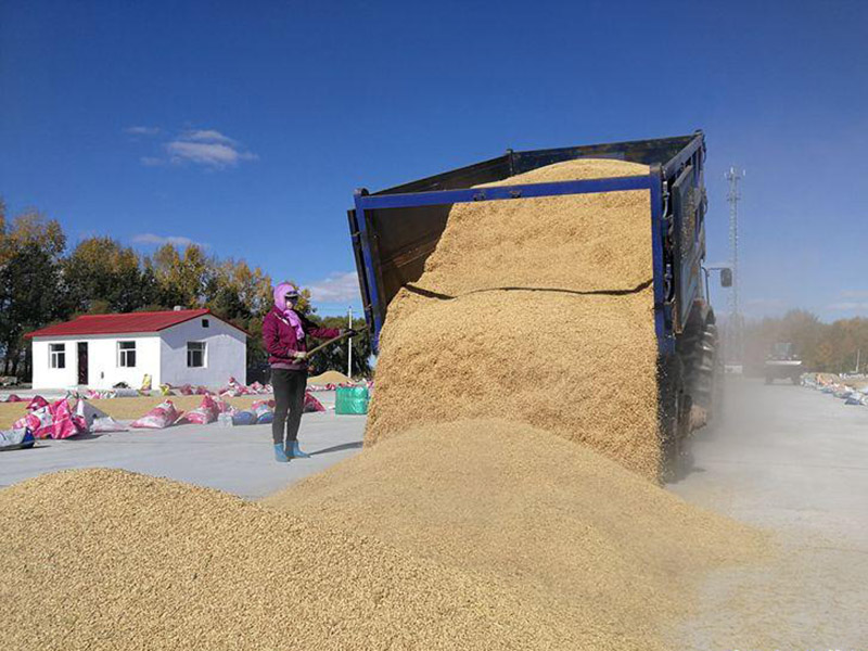 糧食容易受到哪些污染
