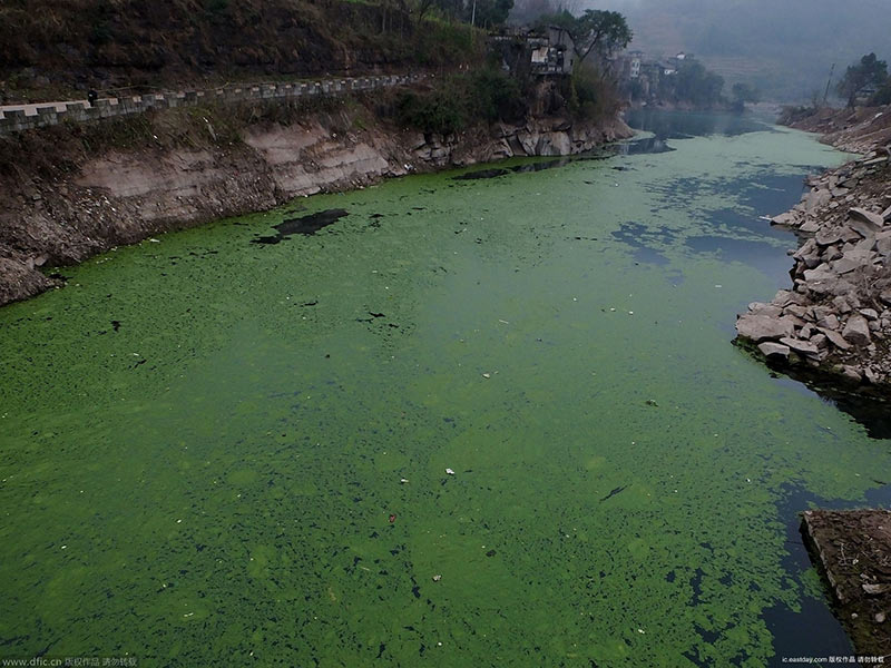 水質檢測儀檢測水質的健康狀況