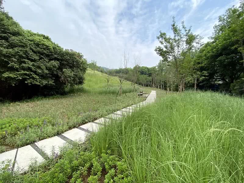 環(huán)境監(jiān)測站節(jié)省成本、提**率