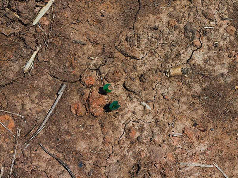 土壤肥料養分檢測儀可減少肥料引起的環境污染