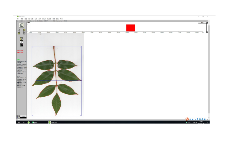 葉面積圖像分析系統