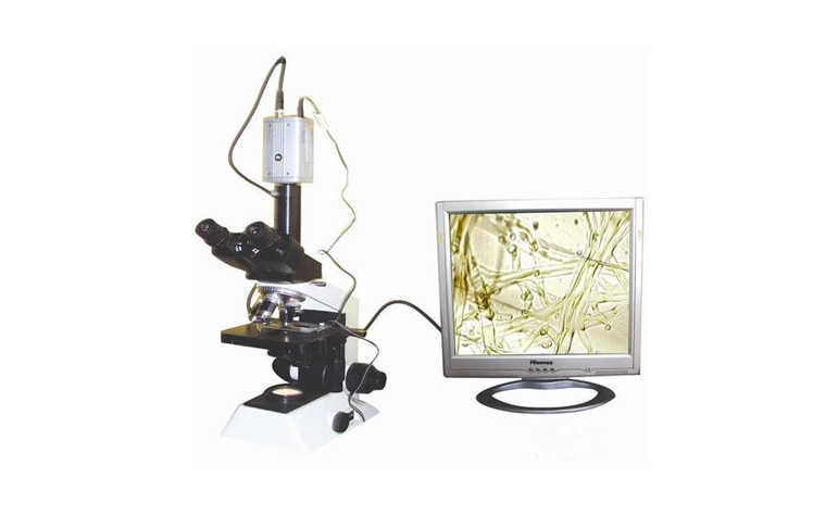 植物病蟲害檢測(cè)設(shè)備