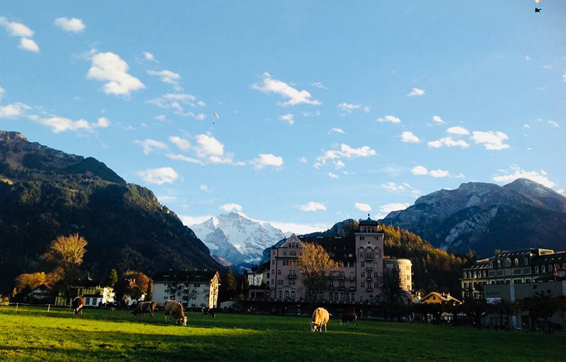 食品微生物檢測儀