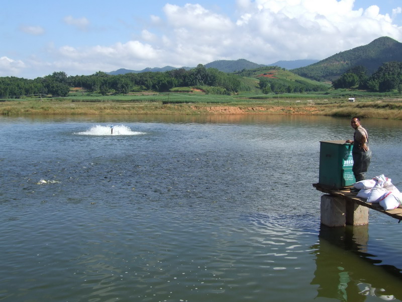 水產養殖檢測儀，為水產提供優良的生長環境