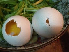 雞蛋中會含有哪些藥物殘留？