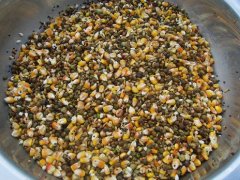 真菌毒素對人和動物有極大的危害！